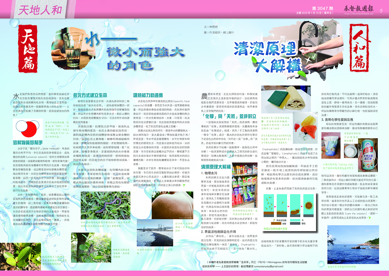 文章圖片