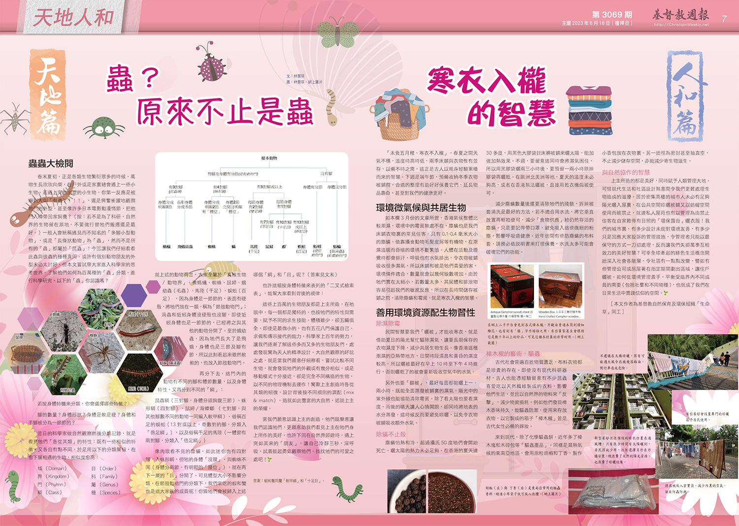 文章圖片
