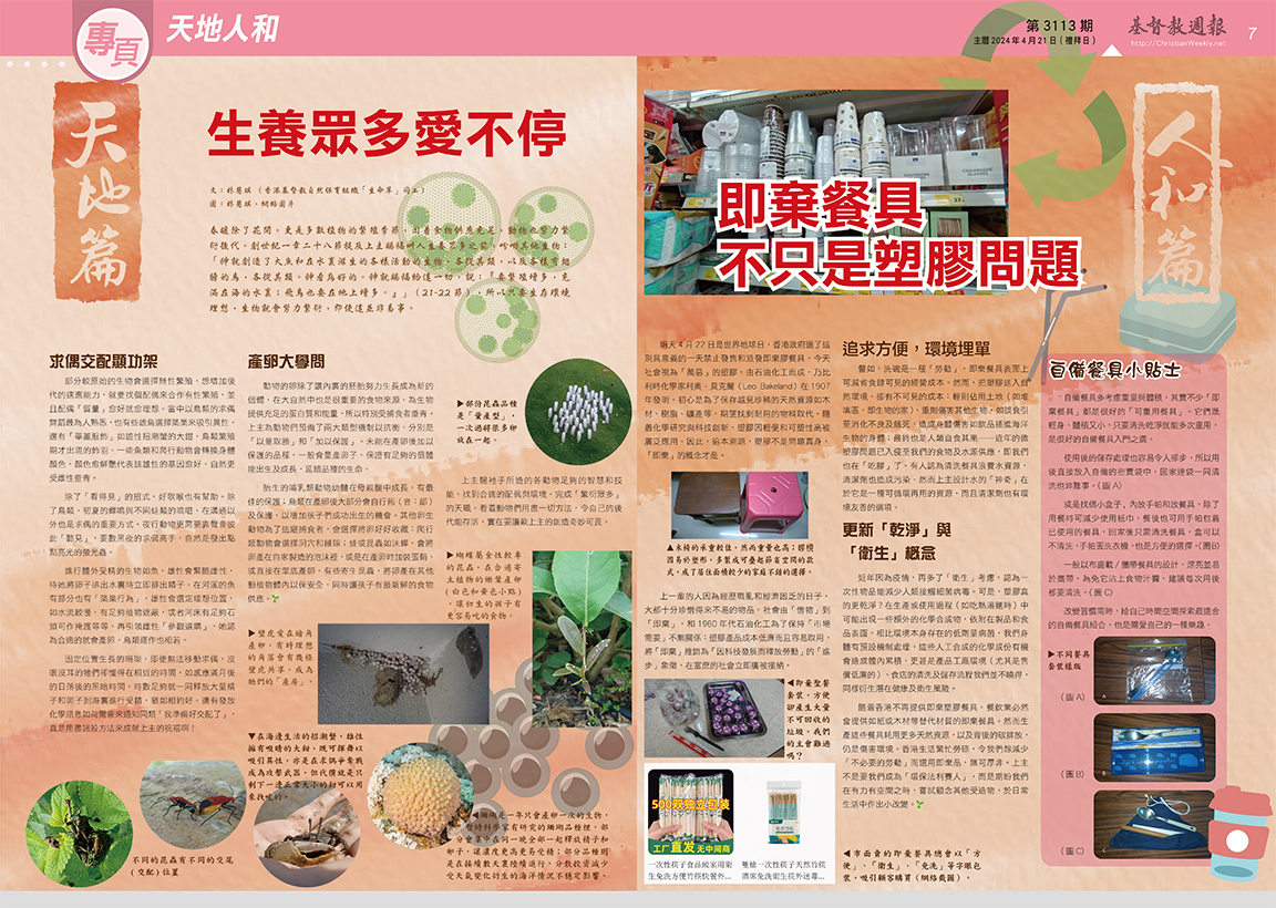 文章圖片