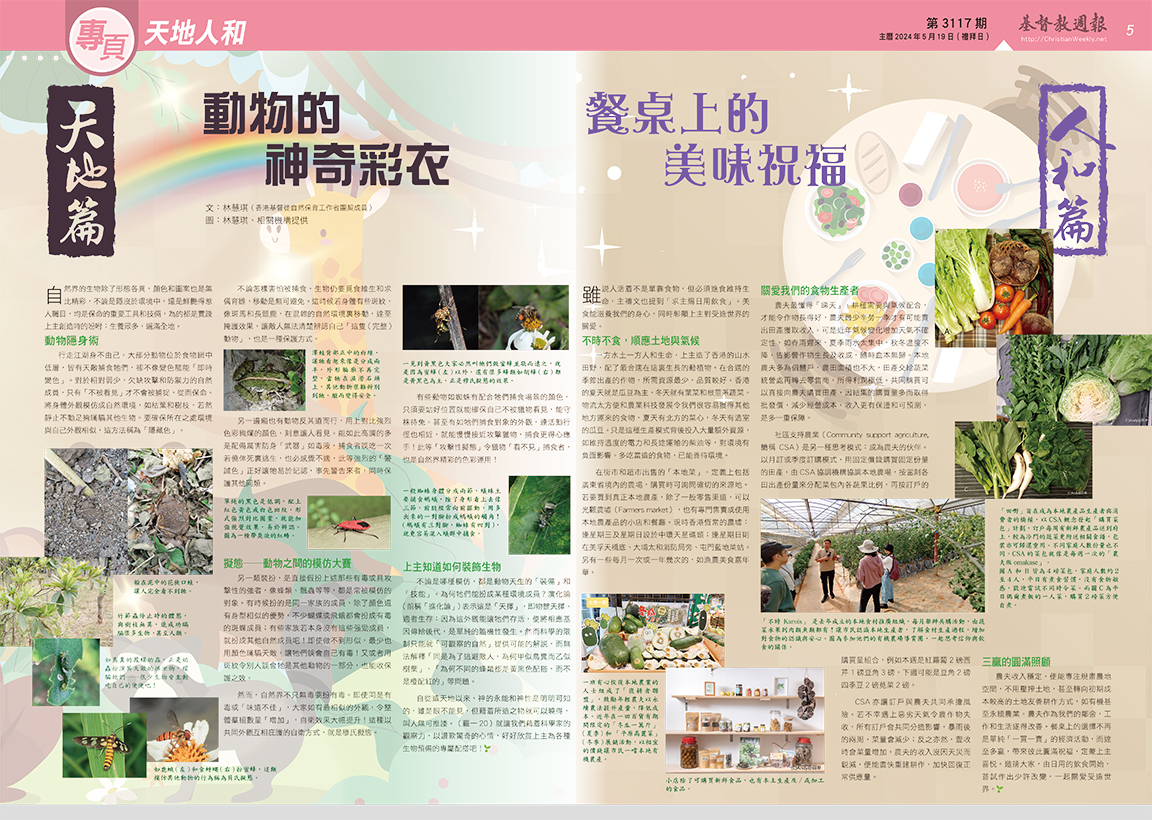 文章圖片