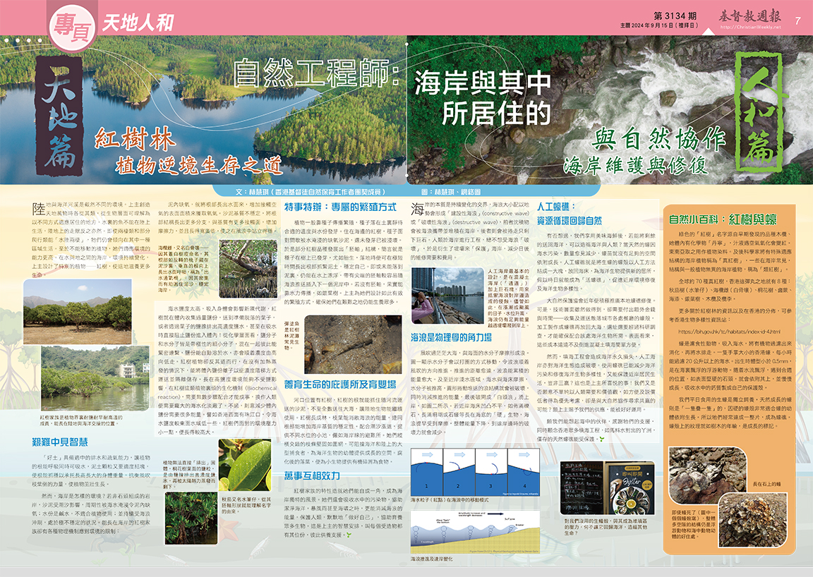 文章圖片