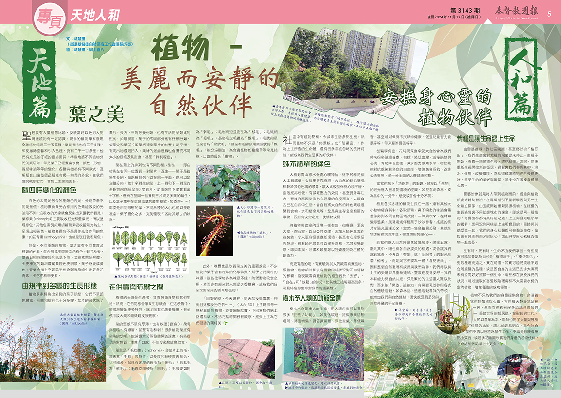 文章圖片