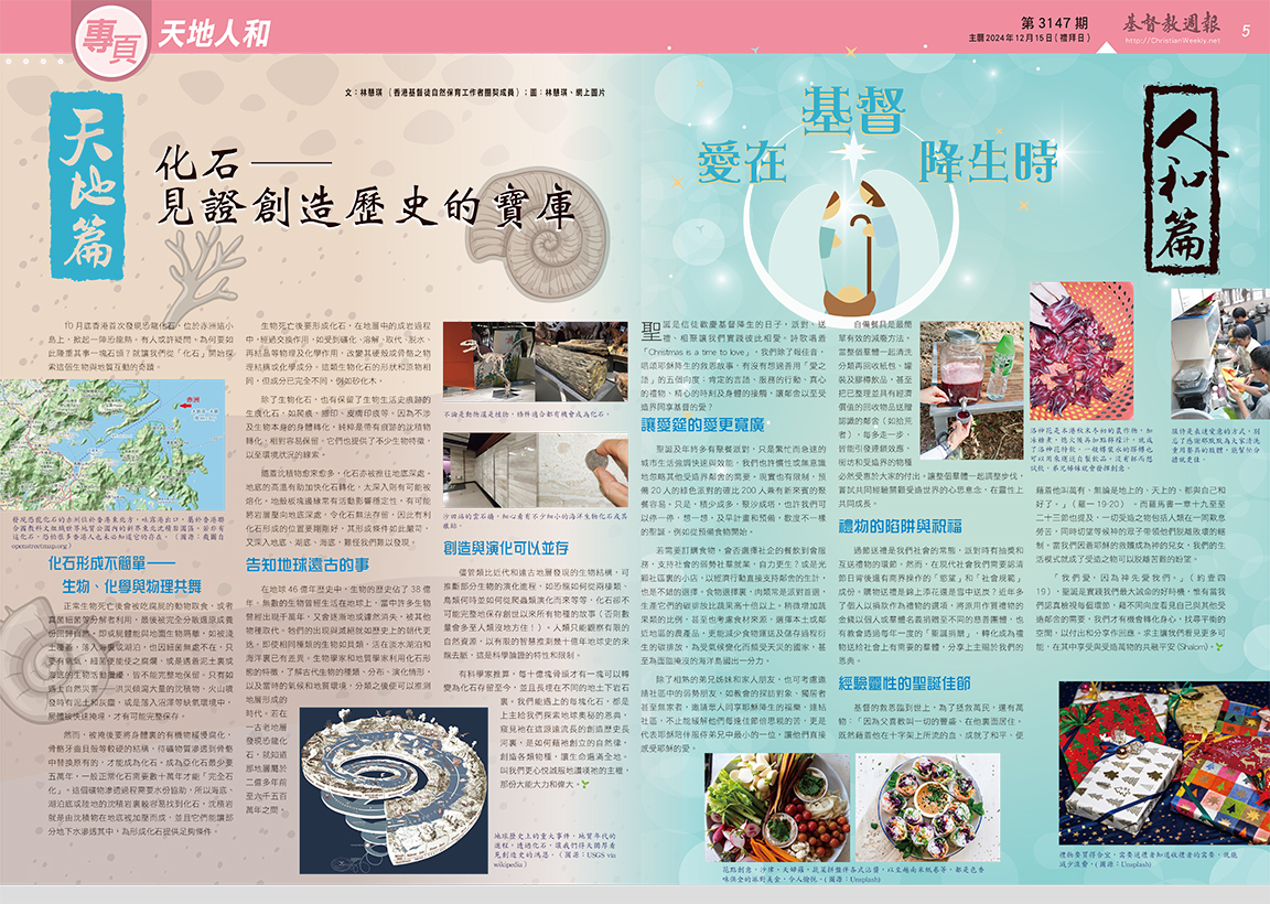 文章圖片